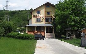 Pensiunea BRADU